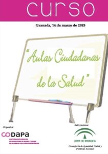 PROGRAMA CURSO AULAS